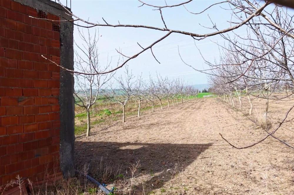 BANDIRMA YENİYENİCE MH. SATILIK 7788 M2, 2 KAT RUHSATLI BAĞ EVİ