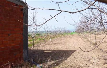 BANDIRMA YENİYENİCE MH. SATILIK 7788 M2, 2 KAT RUHSATLI BAĞ EVİ