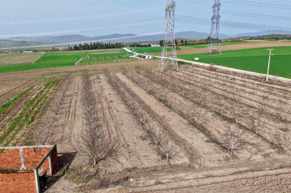 BANDIRMA YENİYENİCE MH. SATILIK 7788 M2, 2 KAT RUHSATLI BAĞ EVİ