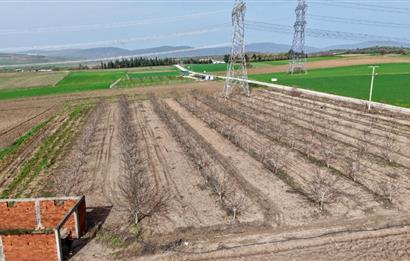 BANDIRMA YENİYENİCE MH. SATILIK 7788 M2, 2 KAT RUHSATLI BAĞ EVİ