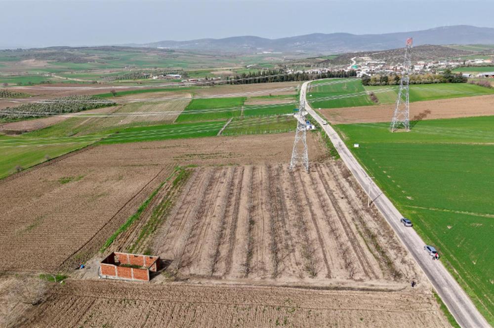 BANDIRMA YENİYENİCE MH. SATILIK 7788 M2, 2 KAT RUHSATLI BAĞ EVİ