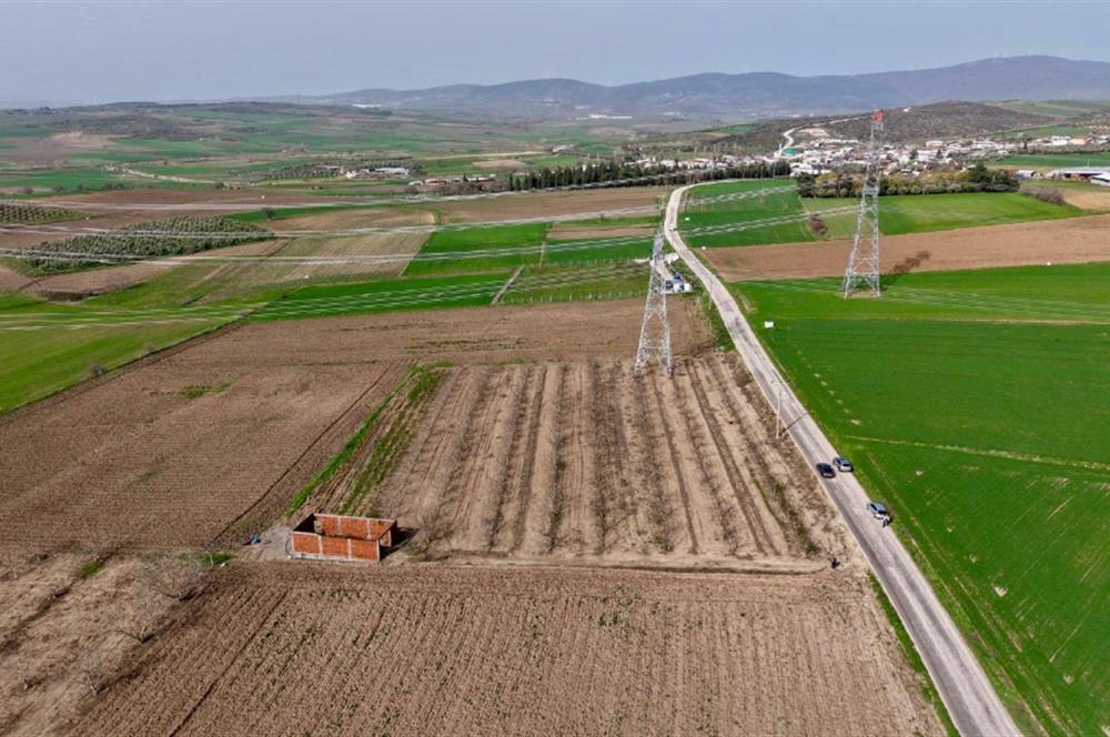 BANDIRMA YENİYENİCE MH. SATILIK 7788 M2, 2 KAT RUHSATLI BAĞ EVİ