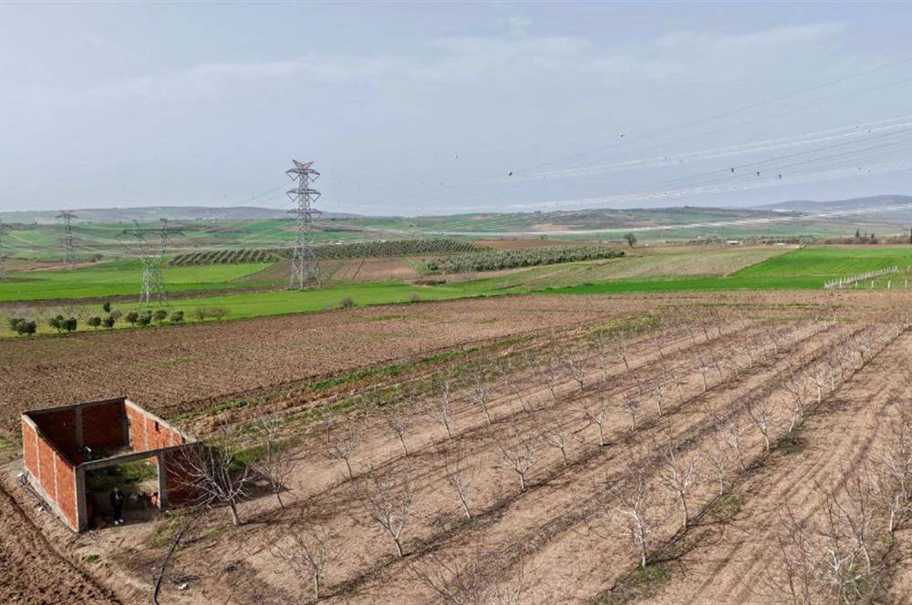 BANDIRMA YENİYENİCE MH. SATILIK 7788 M2, 2 KAT RUHSATLI BAĞ EVİ