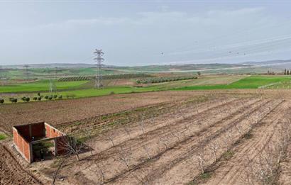 BANDIRMA YENİYENİCE MH. SATILIK 7788 M2, 2 KAT RUHSATLI BAĞ EVİ