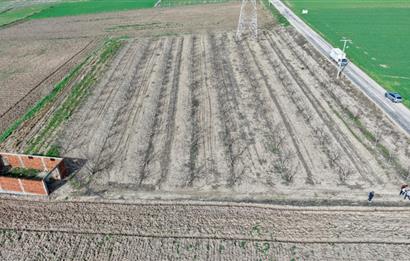 BANDIRMA YENİYENİCE MH. SATILIK 7788 M2, 2 KAT RUHSATLI BAĞ EVİ