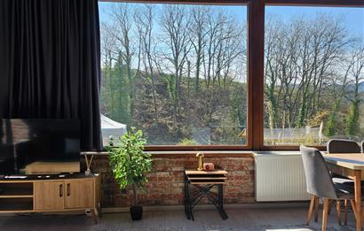 BURSA,İZNİK,ÇAMPINAR ÖZEL MİMAR İLE YAPILMIŞ EV VE BAHCE SATILIK