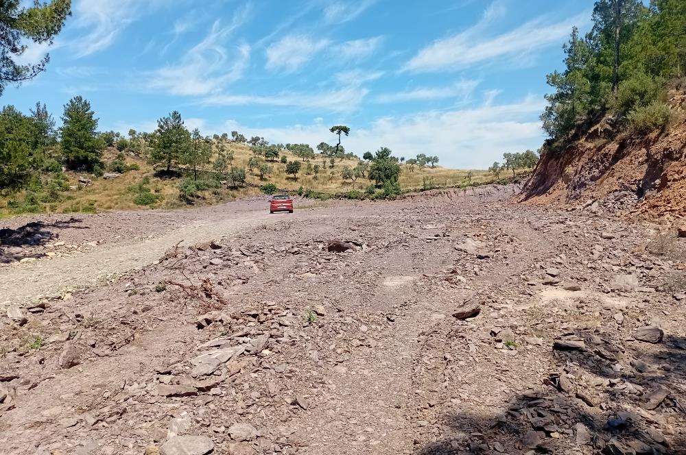 Bodrum Mumcular satılık zeytinlik (elektrik,su kuyusu,yol mevcut)