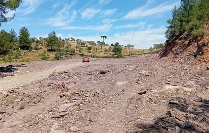 Bodrum Mumcular satılık zeytinlik (elektrik,su kuyusu,yol mevcut)