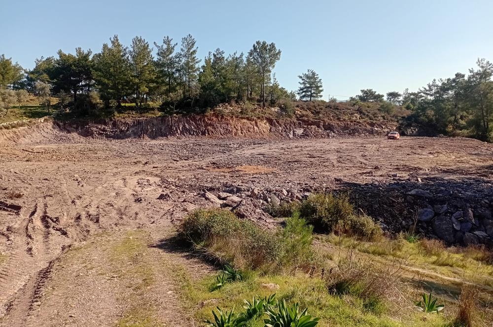 Bodrum Mumcular satılık zeytinlik (elektrik,su kuyusu,yol mevcut)