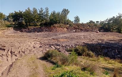 Bodrum Mumcular satılık zeytinlik (elektrik,su kuyusu,yol mevcut)