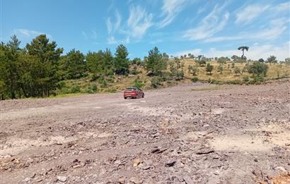 Bodrum Mumcular satılık zeytinlik (elektrik,su kuyusu,yol mevcut)