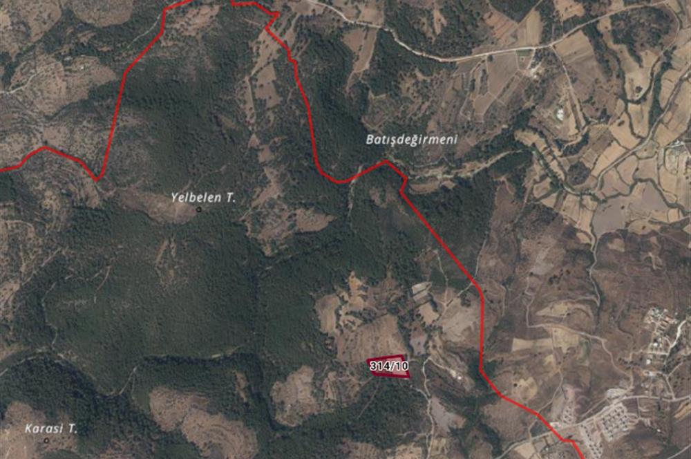 Bodrum Mumcular satılık zeytinlik (elektrik,su kuyusu,yol mevcut)