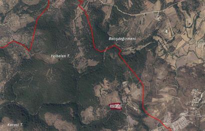 Bodrum Mumcular satılık zeytinlik (elektrik,su kuyusu,yol mevcut)