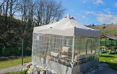 BURSA,İZNİK,ÇAMPINAR ÖZEL MİMAR İLE YAPILMIŞ EV VE BAHCE SATILIK