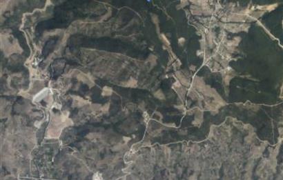 BURSA GEMLİK DE SATILIK TARLA 