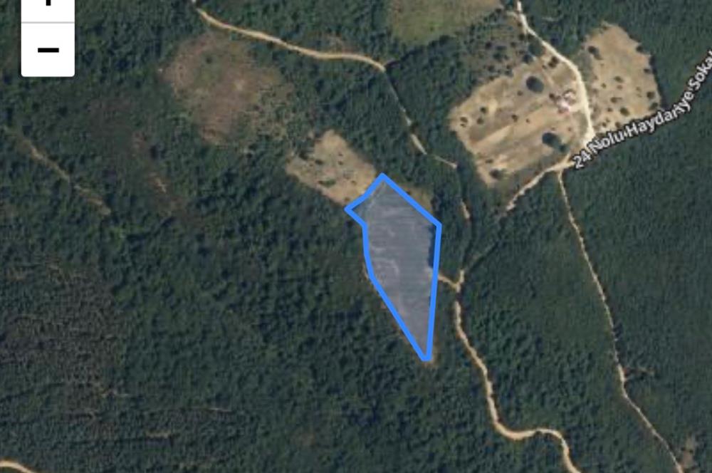 BURSA GEMLİK DE SATILIK TARLA 