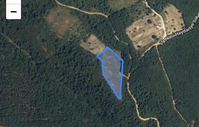 BURSA GEMLİK DE SATILIK TARLA 