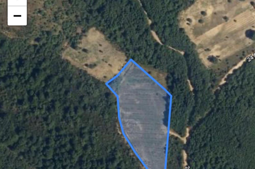 BURSA GEMLİK DE SATILIK TARLA 