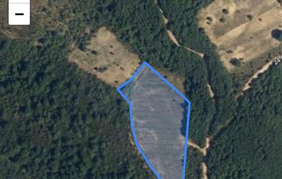 BURSA GEMLİK DE SATILIK TARLA 