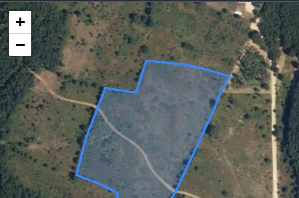 BURSA GEMLİK DE SATILIK TARLA