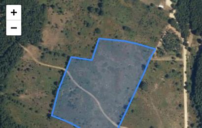 BURSA GEMLİK DE SATILIK TARLA