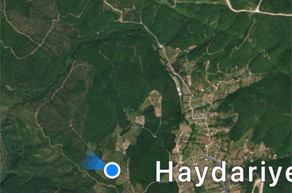 BURSA GEMLİK DE SATILIK TARLA 