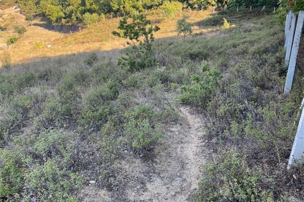 BURSA GEMLİK DE SATILIK TARLA 