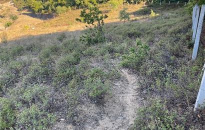 BURSA GEMLİK DE SATILIK TARLA 