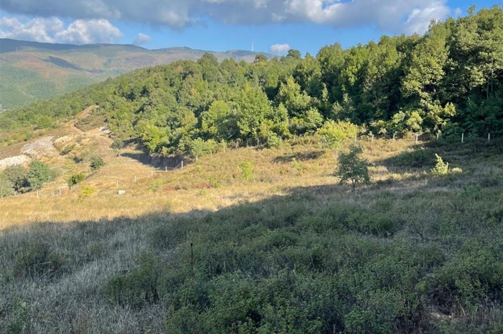 BURSA GEMLİK DE SATILIK TARLA 