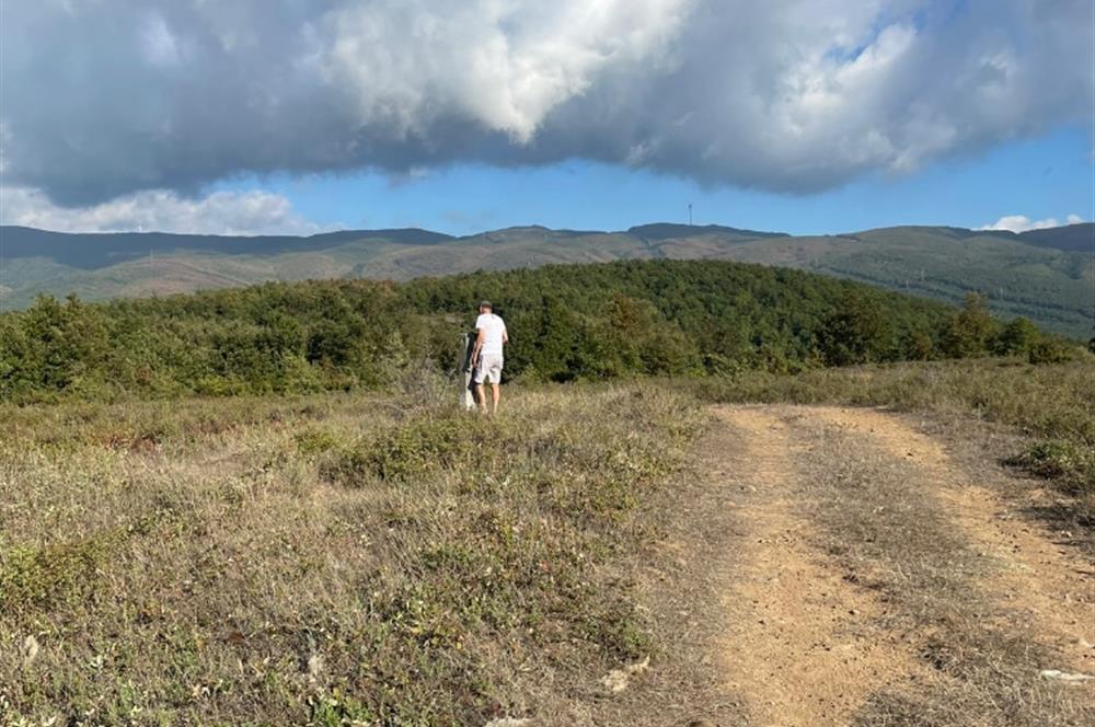BURSA GEMLİK DE SATILIK TARLA