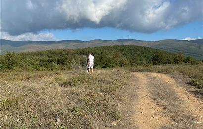 BURSA GEMLİK DE SATILIK TARLA