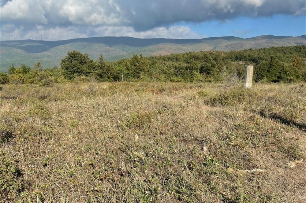 BURSA GEMLİK DE SATILIK TARLA