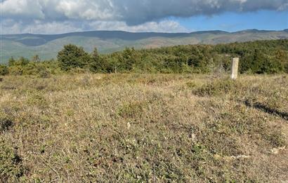 BURSA GEMLİK DE SATILIK TARLA