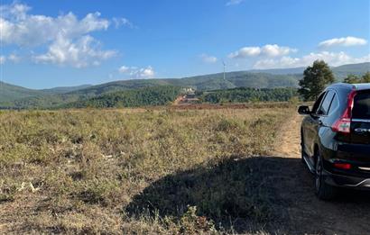 BURSA GEMLİK DE SATILIK TARLA