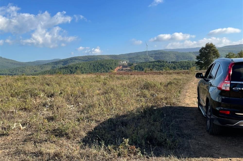 BURSA GEMLİK DE SATILIK TARLA 
