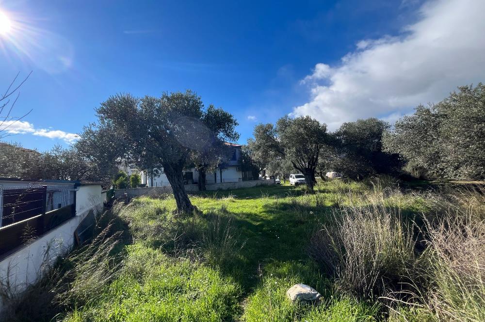 GÜRE ÇAMLIBELDE 2.5 KAT İMARLI ARSA