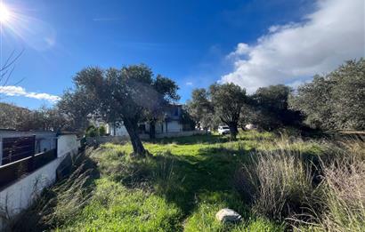 GÜRE ÇAMLIBELDE 2.5 KAT İMARLI ARSA