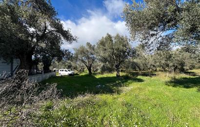 GÜRE ÇAMLIBELDE 2.5 KAT İMARLI ARSA