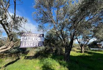 GÜRE ÇAMLIBELDE 2.5 KAT İMARLI ARSA - 8 - 32441