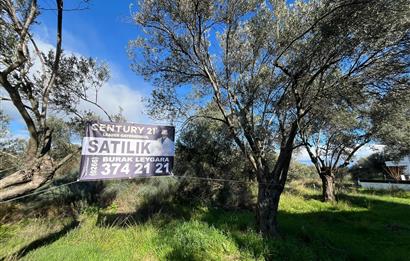 GÜRE ÇAMLIBELDE 2.5 KAT İMARLI ARSA