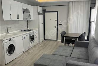 Segmenler'de sıfır ve full eşyalı 1+1 kiralık - 1 - 32472