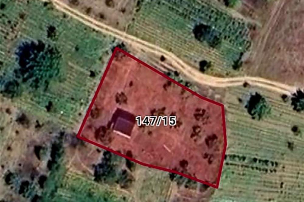 Sakarya Geyve'de Satılık Bahçe