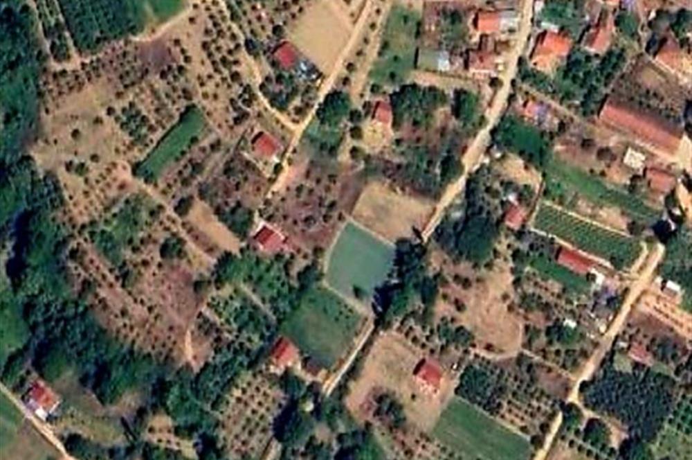 Sakarya Geyve'de Satılık Bahçe