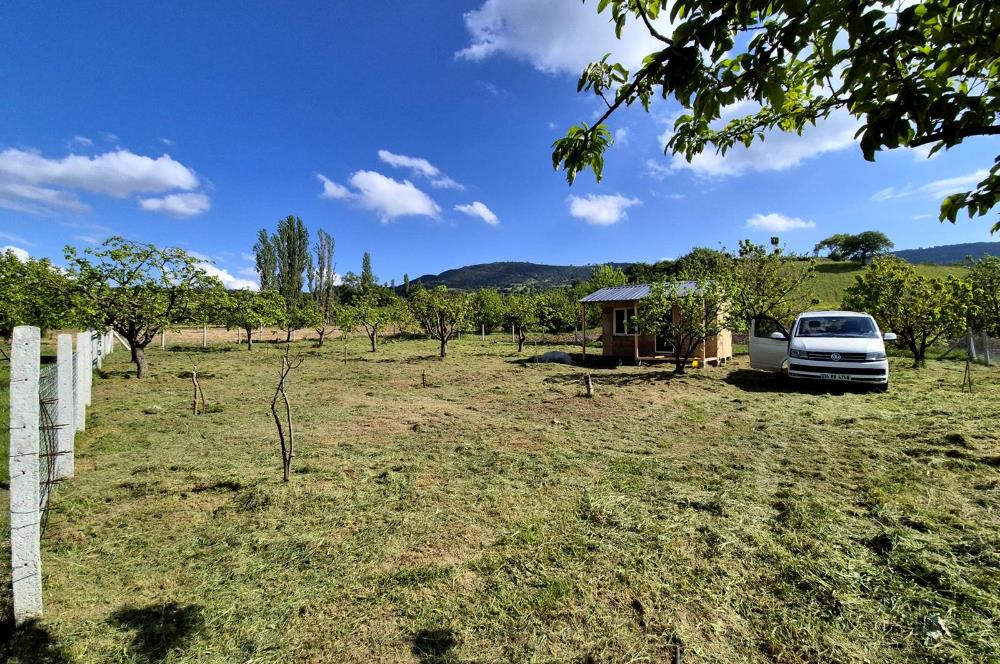 Sakarya Geyve'de Satılık Bahçe