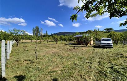 Sakarya Geyve'de Satılık Bahçe