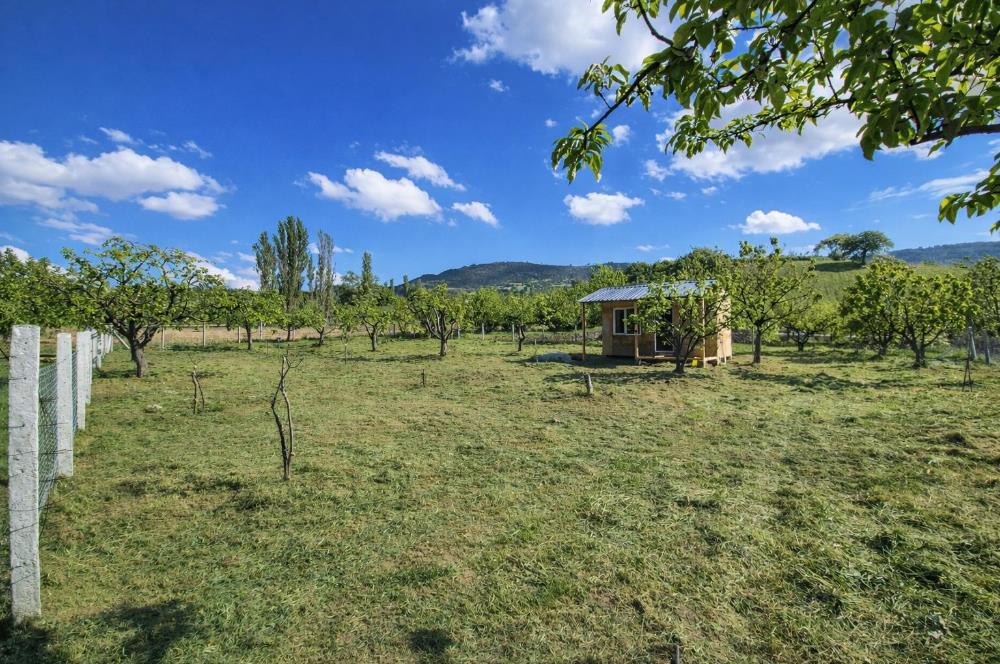 Sakarya Geyve'de Satılık Bahçe