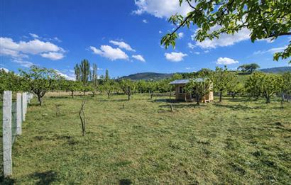 Sakarya Geyve'de Satılık Bahçe