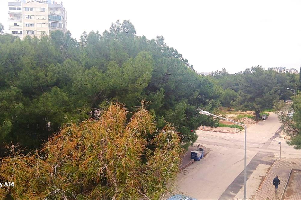 1299186107 Antalya Altınkum'da Satılık 3+1 Full Eşyalı Dubleks Daire 