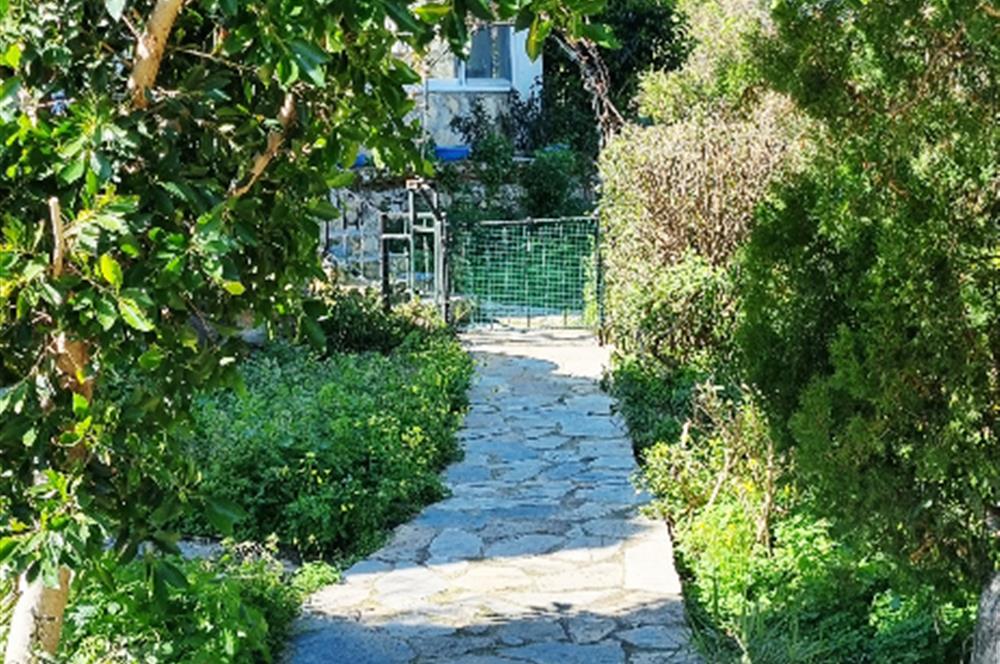 Gümüşlük Koyunbaba da Plajlı site de Müstakil Dubleks ev