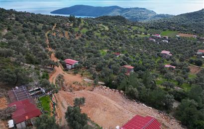 MUĞLA AKBÜK'TE DENİZ MANZARALI FIRSAT ARAZİ